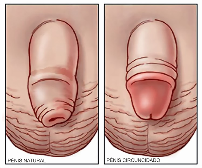 Como por meio da massagem para aumentar um pênis